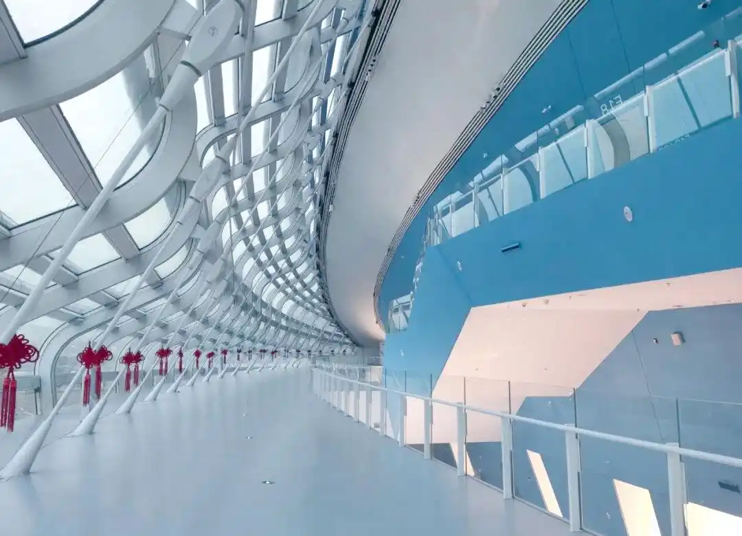 国家速滑馆：从奥运赛场变迁到冬奥标志性场馆的华丽转身