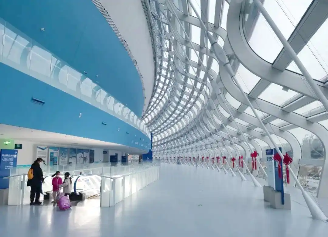  国家速滑馆 建筑设计 _国家速滑馆 介绍 _冬奥会场馆