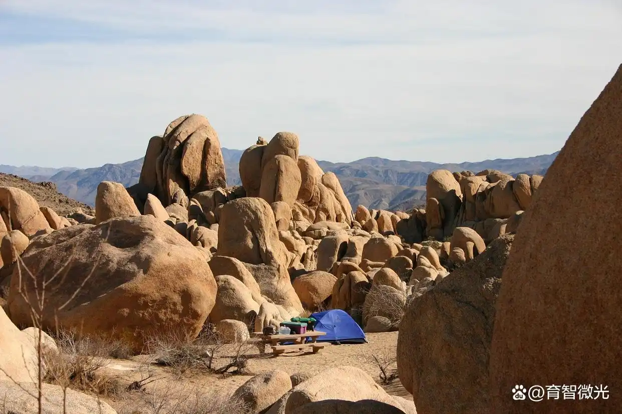 基础先行导数必备的三个底层逻辑_2026年高考导数考查趋势深度解析_高考数学