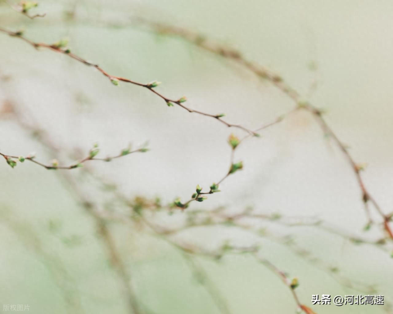 今日9时30分京哈、长深、荣乌等高速因养护施工的路况消息