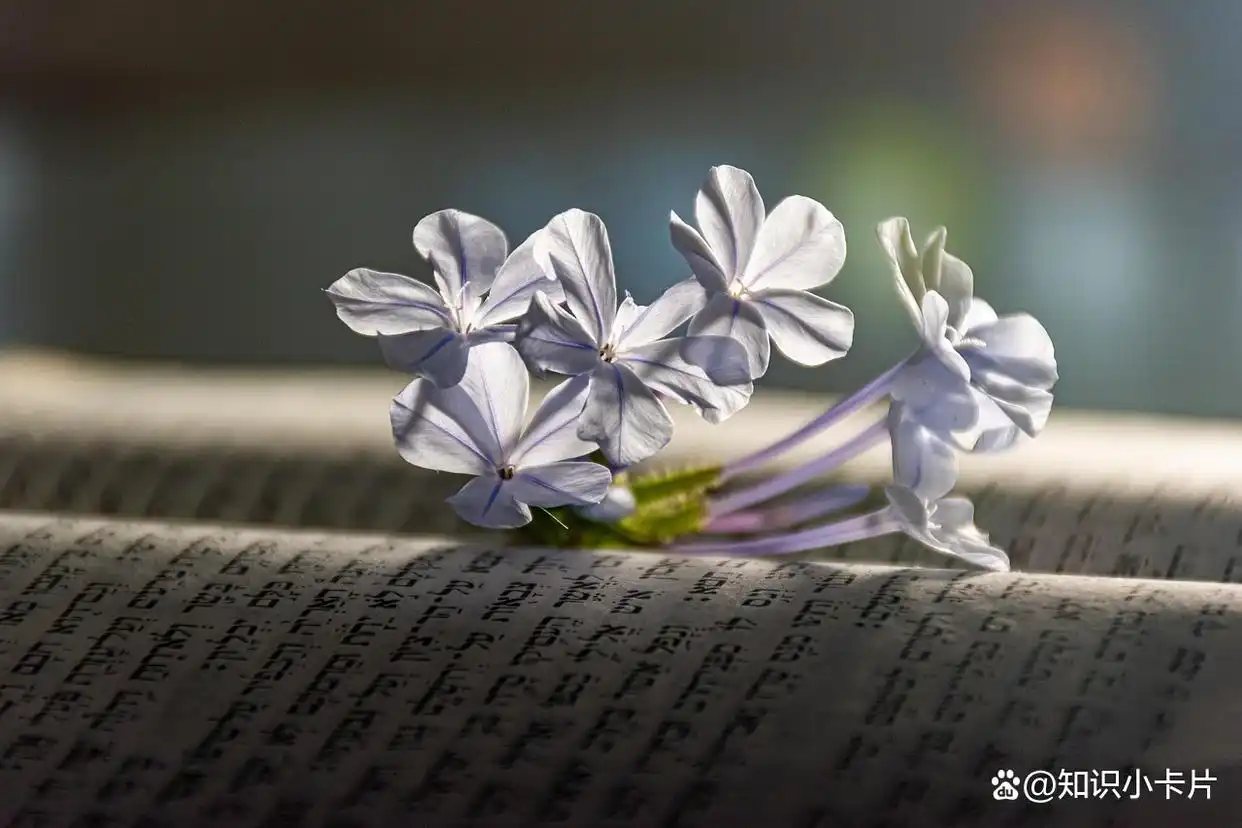 函数与导数深度解析_高考数学_2026年高考数学高频考点