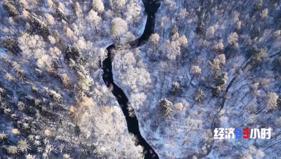 2025 冰雪产业成万亿赛道，多样玩法吸客，长春等地旅游升温