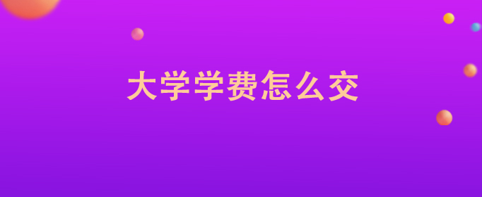 大学新生交学费方式大盘点：到校、网上及银行缴费全知道