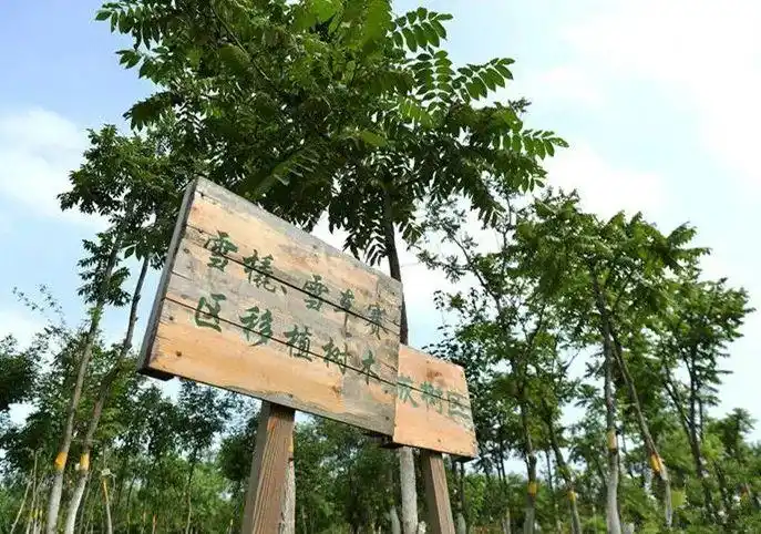 冬奥会场馆建设_国家速滑馆冰丝带制冷制冰系统_北京冬奥会场馆绿色建设