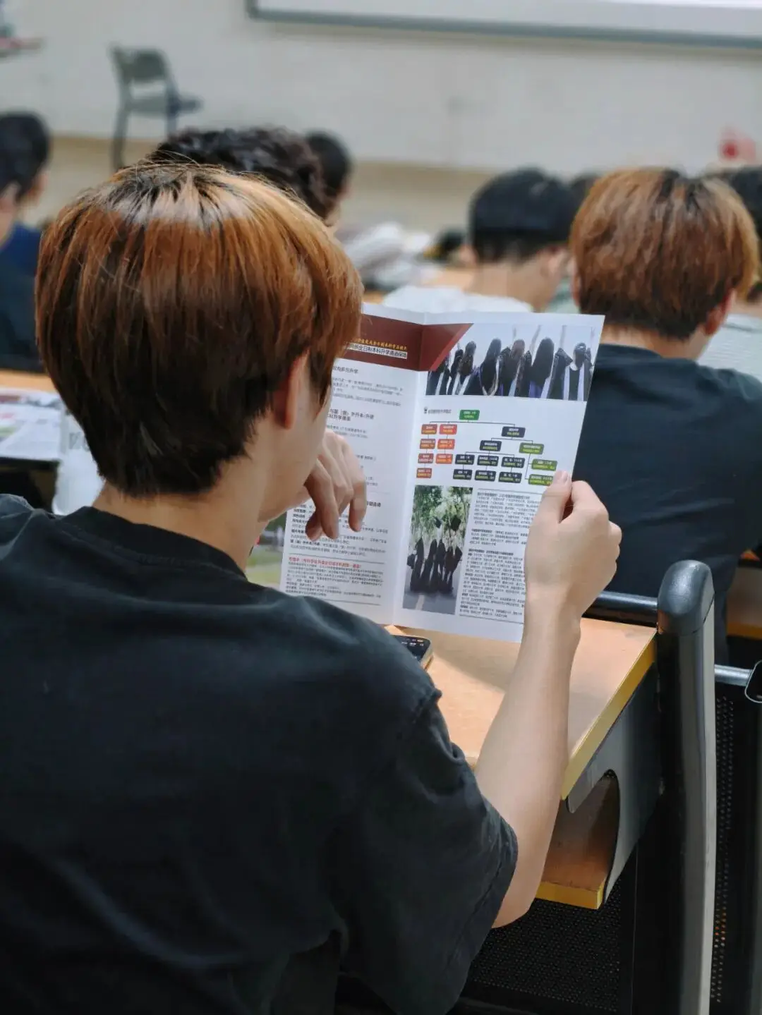 2026年广东岭南职业技术学院春季招生创新精英班_专本硕连读升学体系_高考志愿填报