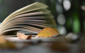 中央民大强基计划高考要达到多少分？2026年考生深度解析