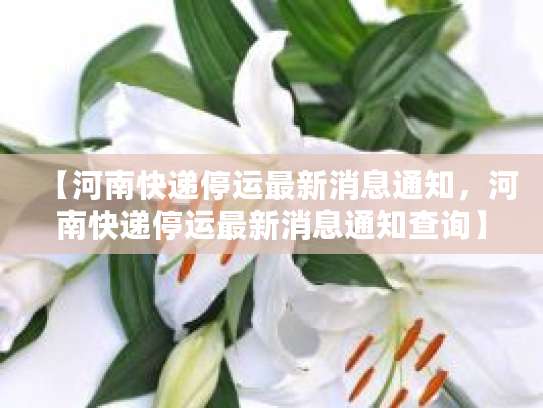 河南洛阳韵达快递停运情况及恢复时间相关汇总