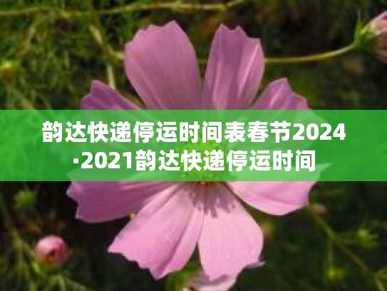 2024年过年期间快递停运时间，多家快递公司放假安排