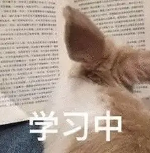 高考政治_政治高分攻略_高中政治主观题答题技巧