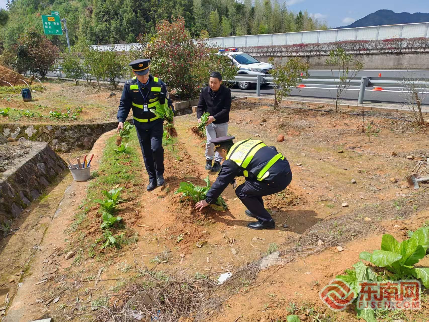 高速公路用地范围违规开垦_违法占用公路用地耕种_高速道路养护