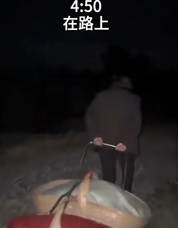 高考加分_教育公平_医疗公平