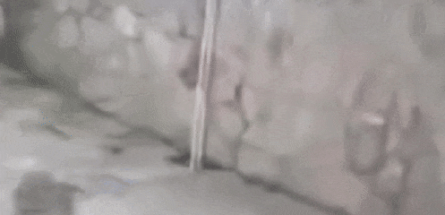 中学生骑电动自行车危险多，未戴头盔闯红灯事故频发