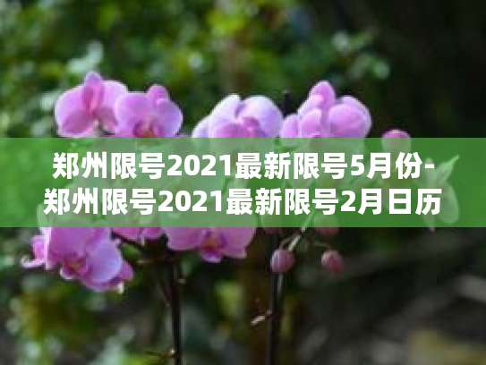 郑州2021限号规则：工作日限行，节假日不限行区域及时间